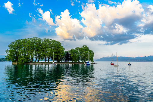 Trees on the small island in Geneva lake, Switzerland