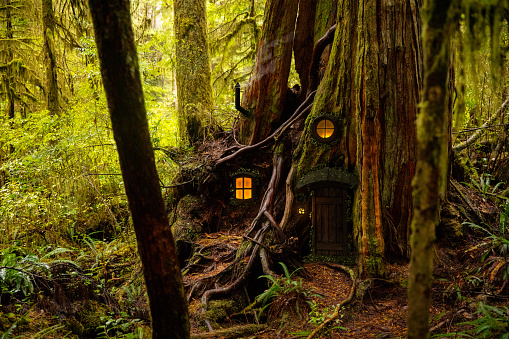 Fairy Tree House photo