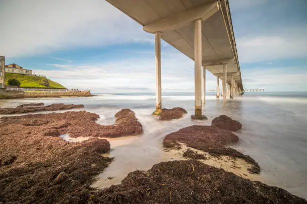 Photo of O.B. Pier