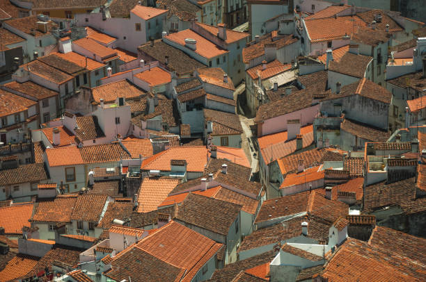 istock Cityscape with many rooftops and a cobblestone alley 1142706776