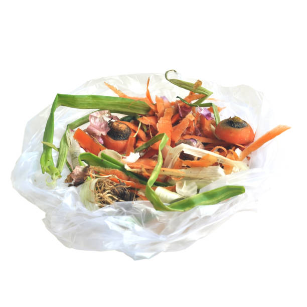 istock composting pile of vegetables fruits - Image 1142706942
