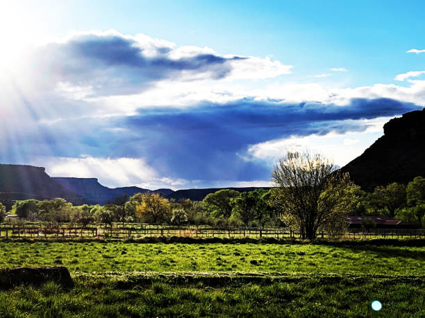 raias de sun e árvores iluminadas traseiras sobre pastos que olham para o oeste sobre o vale do rio de virgin em rockville utah - travel nature back lit rural scene - fotografias e filmes do acervo