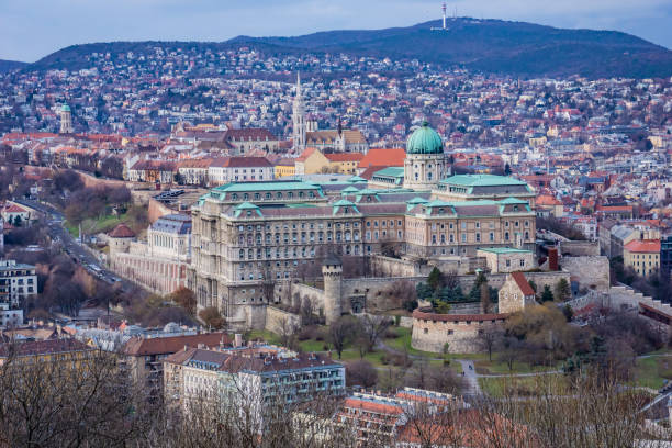 vista aérea del palacio real del castillo de buda y las zonas circundantes en budapest, hungría, europa - budapest aerial view royal palace of buda hungary fotografías e imágenes de stock