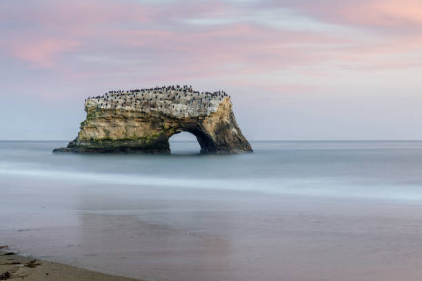 istock Cormorants perched over the natural bridge. 1142711275