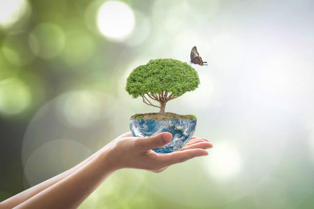 istock Saving environment and natural conservation concept with tree planing on green globe earth on volunteer's hands: Elements of this image furnished by NASA 1142714111