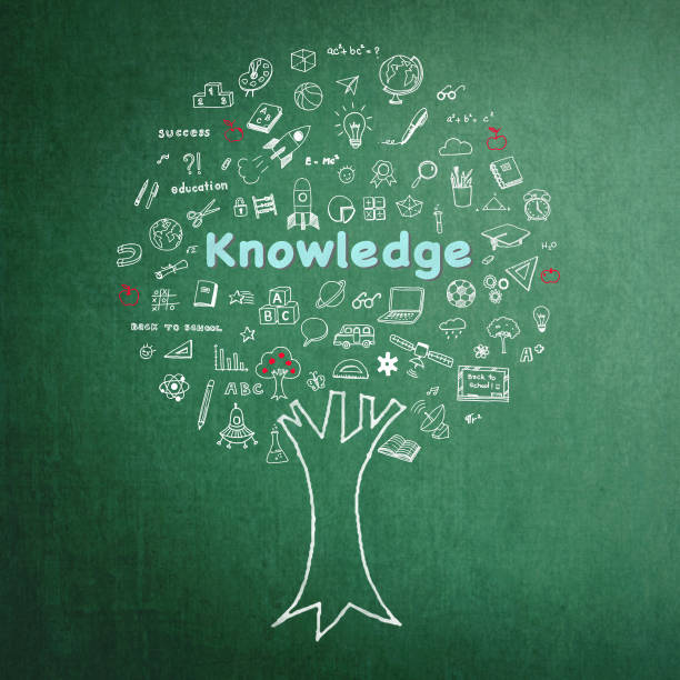 istock Tree of knowledge education concept on green chalkboard background with doodle 1142714153