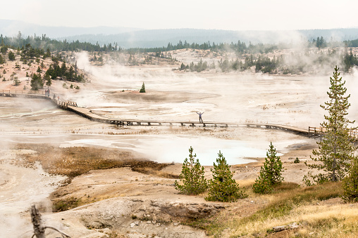 Woman standing on a wooden footpath, waving at Norris Geyser Basin in Yellowstone National Park