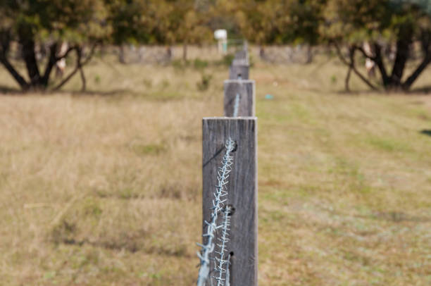 Farm fence with barbed wire. Property border background