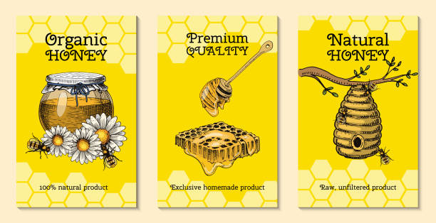 蜂蜜ワックス蜂とビーハイブフライヤー。ポスターオーガニック蜂蜜と養蜂場、蜂の巣とカモミールデザートの栄養ベクターのイラスト。 - propolis点のイラスト素材／クリップアート素材／マンガ素材／アイコン素材