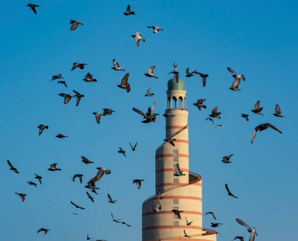istock Pigeons fly around a mosque in Doha Souk Area, Qatar. 1142716422