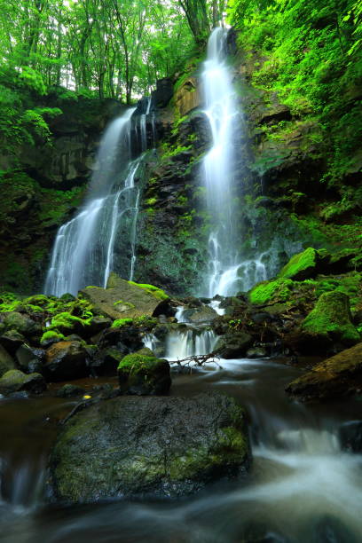 istock Akita Prefecture Summer Waterfall 1142723516
