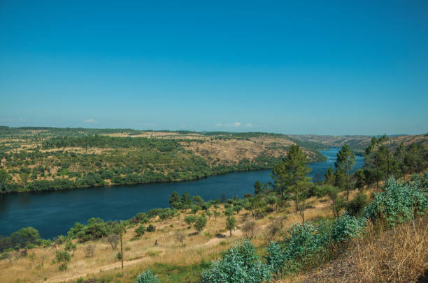 istock Valley with the Tejo River and hills 1142724508