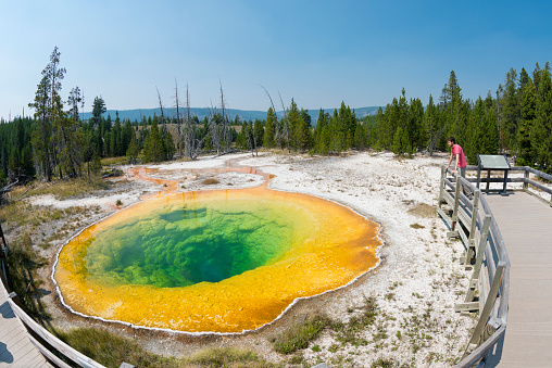 Man on a boardwalk looking at Beauty Pool hot spring in Yellowstone National Park
