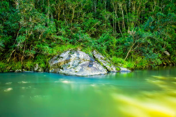 istock Nerang River in Queensland 1142726612