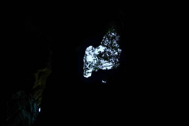 istock Cave of Ninh Binh 1142727609