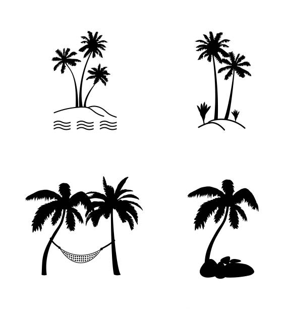 illustrations, cliparts, dessins animés et icônes de noix de coco palm tree silhouette icône ensemble. - palm tree leaf tree frond
