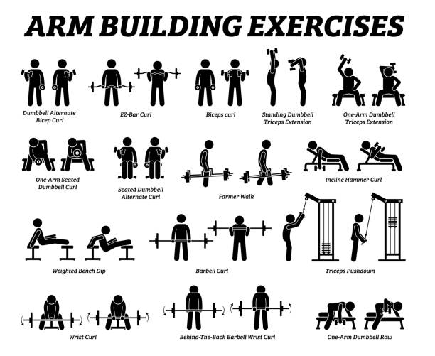 Arm building exercises and muscle building stick figure pictograms. Artworks depict a set of weight training reps workout for arm hand muscle by gym machine and tools with step by step instructions. wrist exercise stock illustrations