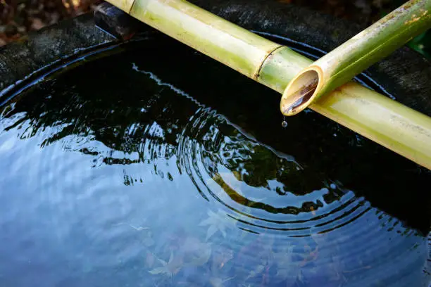 Japanese garden. Japanese cultural equipment. Style of Japanese garden.