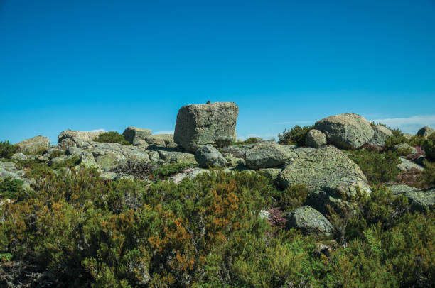 istock Bushes in front of rocky terrain on highlands 1142735011