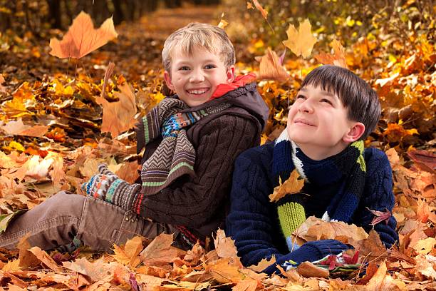 istock Brothers playing in Autumn 114273505
