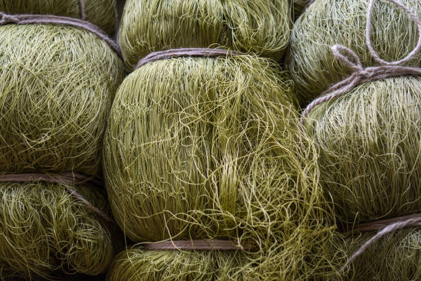 istock Rolled nylon mesh. Grid on the shop window. Fishing net 1142739907