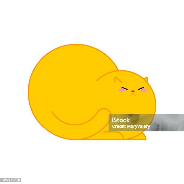 Kucing Gemuk Terisolasi Hewan Peliharaan Tebal Hewan Lucu Gaya Kartun