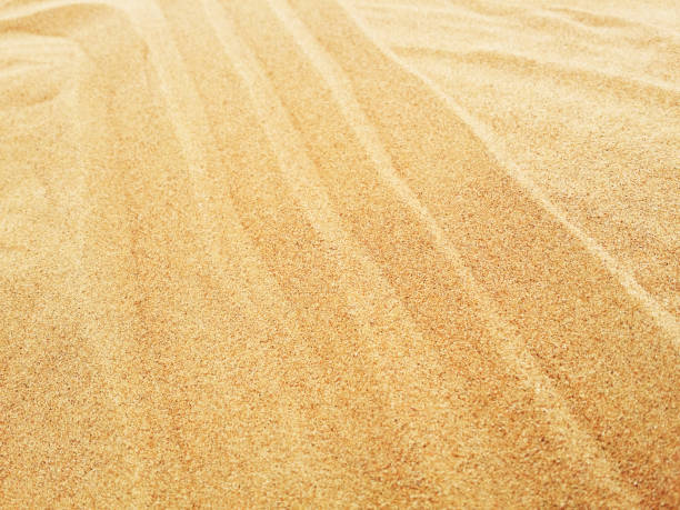 istock Sand dunes in Sahara desert 1142746903