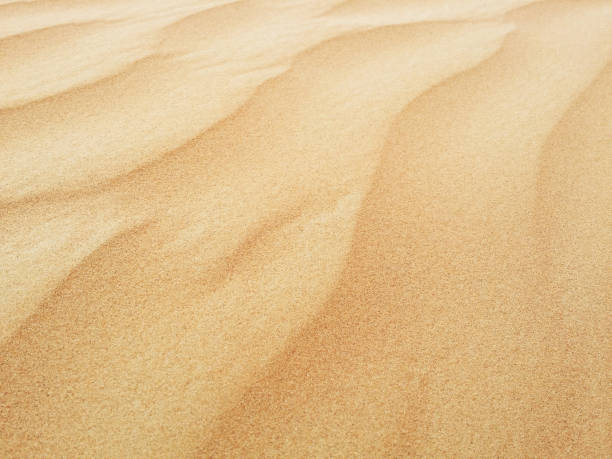istock Sand dunes in Sahara desert 1142746930
