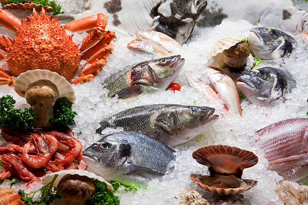 istock Assorted fresh seafood on ice, including fish, shrimp, crab 114274857