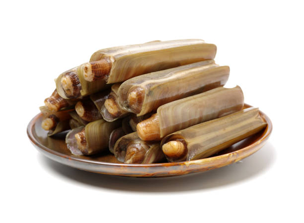 istock Razor clams isolated on white background. 1142748865