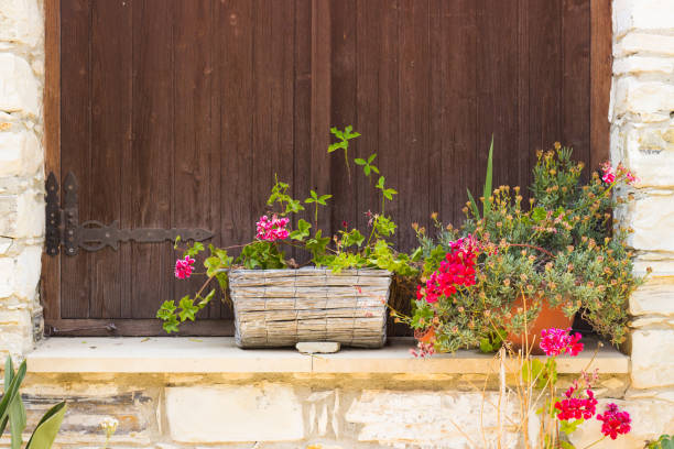 istock Flowers on the Cyprus Island 1142751947