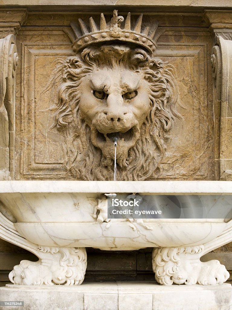 Fonte com cabeça de Leão o Palácio Pitti, Florence - Royalty-free Bebida Fresca Foto de stock