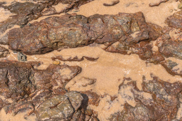 istock top view rock on the beach 1142752798