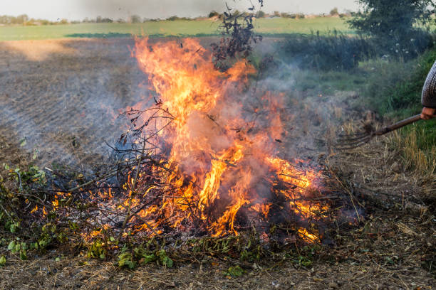 Farmer burns green wastes in bonfire stock photo
