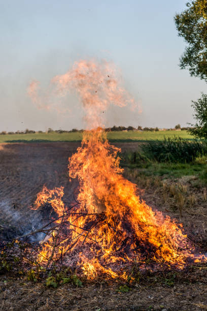 istock Farmer burns green wastes in bonfire 1142752917