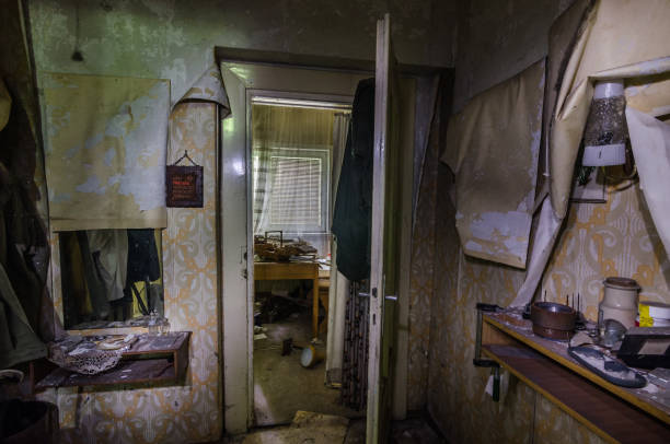 istock Looking into rooms at an old house 1142756845