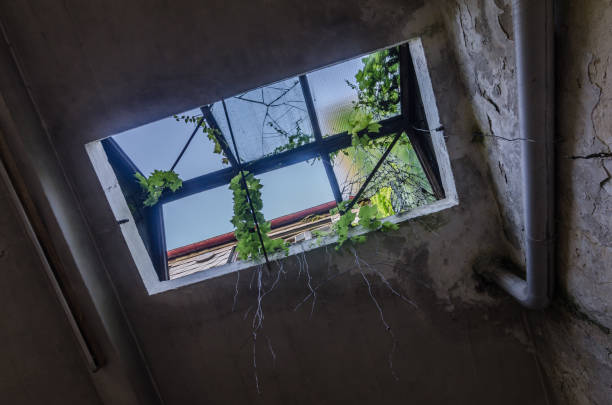 istock Window in factory with plants 1142756851