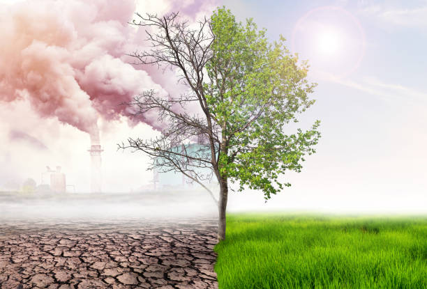 緑の地球と大気汚染が人間の行動、glbal による温暖化の概念、緑の木、緑の地球と光と乾燥地を背景に空気焼鈍を持つことからの影響を比較する - 大気汚染 ストックフォトと画像