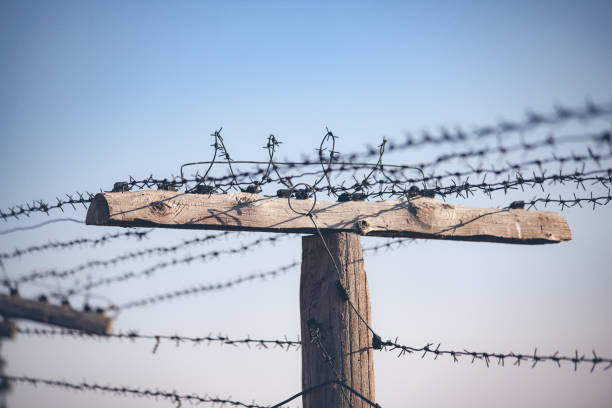 istock Barbed wire on fence with blue sky 1142758987