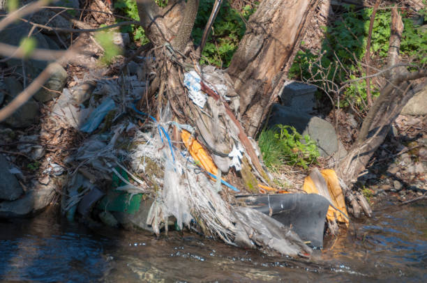istock Plastic and foam garbage floating on the surface of the river 1142761564