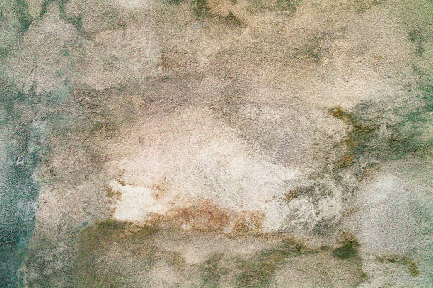 istock Old cracked paint.The wall of old house.Background. 1142761663