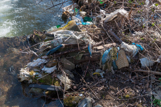 istock Plastic and foam garbage floating on the surface of the river 1142762723