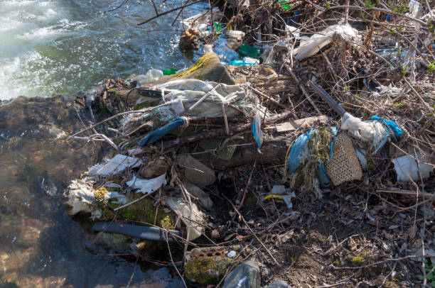 istock Plastic and foam garbage floating on the surface of the river 1142762770