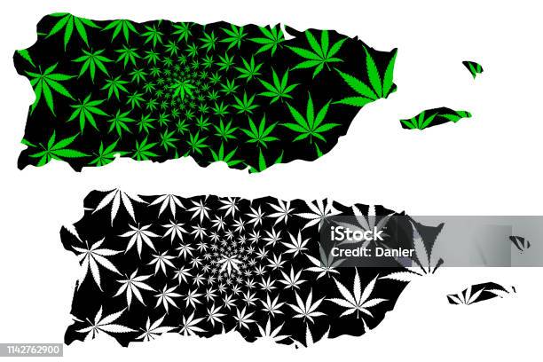 Puerto Rico Map Is Designed Cannabis Leaf Stock Illustration - Download Image Now - Abstract, Addiction, American Culture