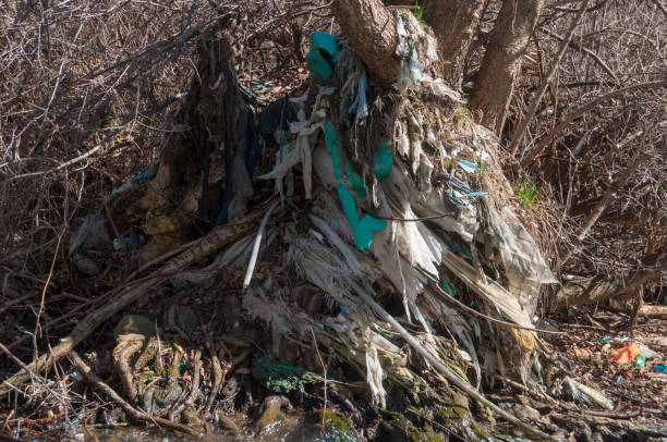 istock Plastic and foam garbage floating on the surface of the river 1142763302