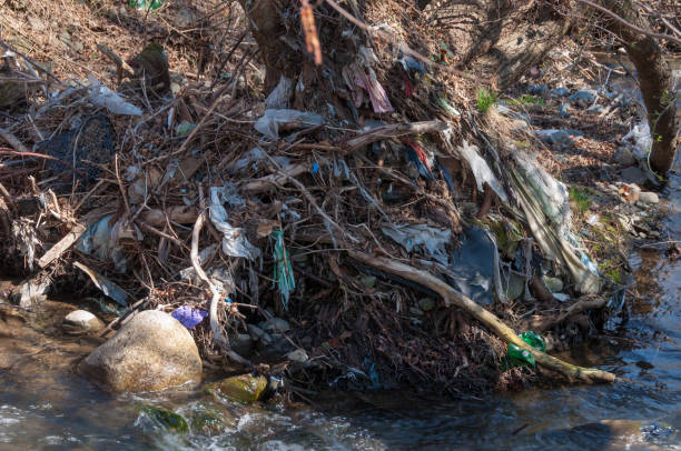 istock Plastic and foam garbage floating on the surface of the river 1142763466