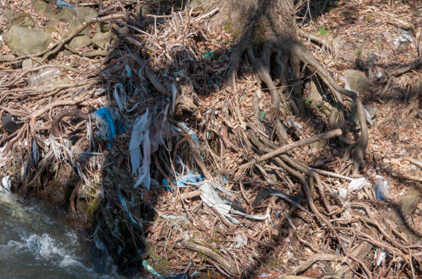 istock Plastic and foam garbage floating on the surface of the river 1142763574