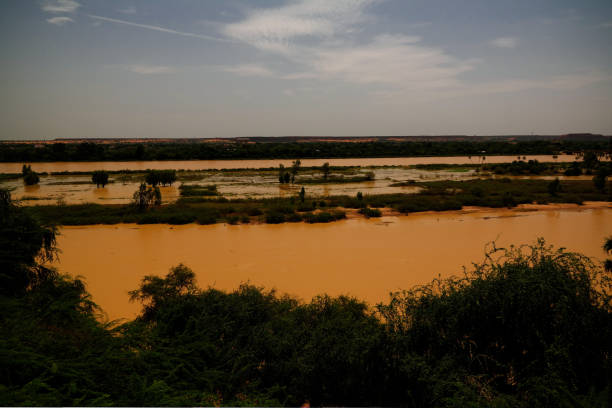 vista aerea sul fiume niger a niamey niger - niger delta foto e immagini stock