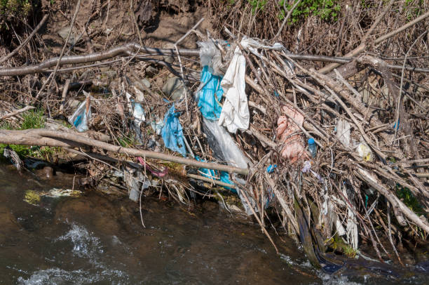 istock Plastic and foam garbage floating on the surface of the river 1142764619