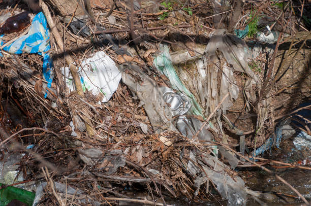istock Plastic and foam garbage floating on the surface of the river 1142765748